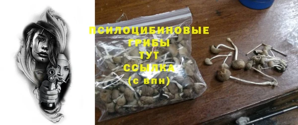 скорость Алзамай