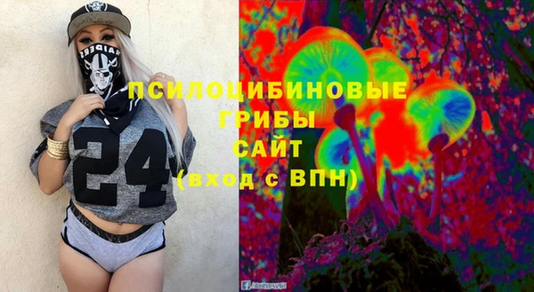 гидра Алексеевка
