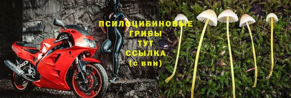 скорость Алзамай