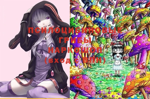 скорость Алзамай