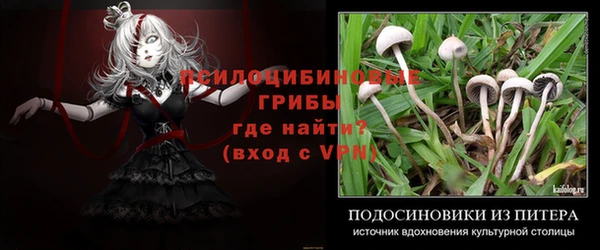 Альфа ПВП Алексин